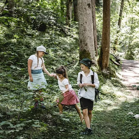 Sommerhof Hotel Gosau