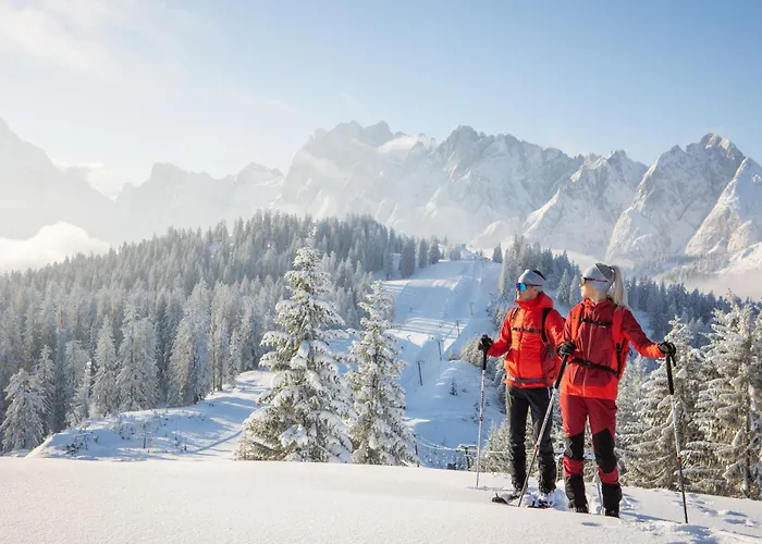 Hotel Sommerhof Gosau