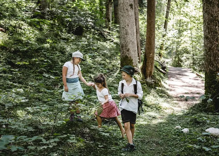 Sommerhof Otel Gosau