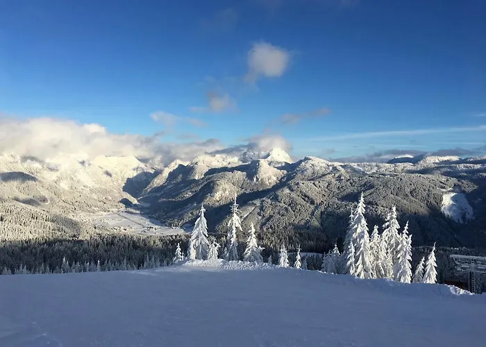 Sommerhof Hotel Gosau